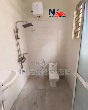 1bdrm Apartment in Dalali_Nick_Mwanza, Nyasaka for rent