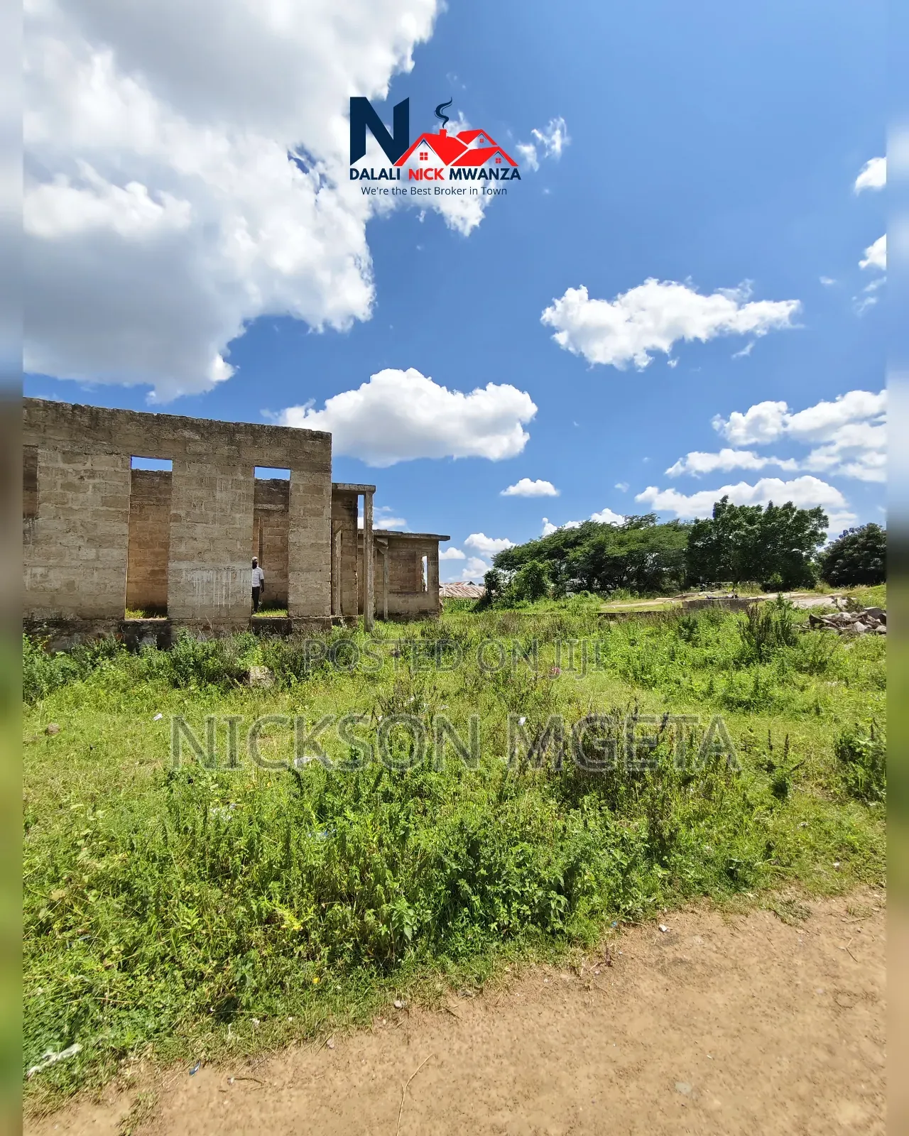 6bdrm Apartment in Dalali_Nick_Mwanza, Nyasaka for sale