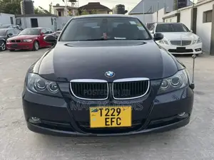 BMW 3 Series 320i RWD 2007 Blue