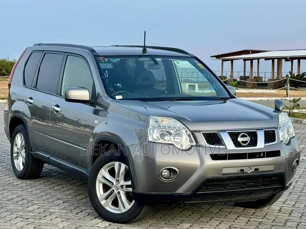 Nissan X-Trail 2.0 Petrol XE 2012 Gray