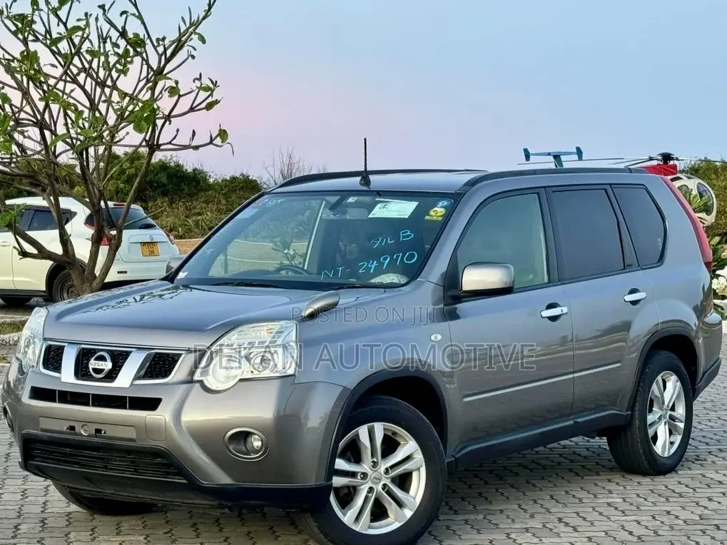 Nissan X-Trail 2.0 Petrol XE 2012 Gray