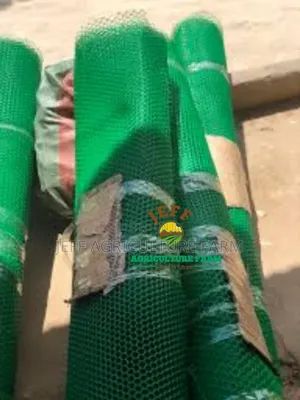 Wavu Wa Kuku,Bata Nk