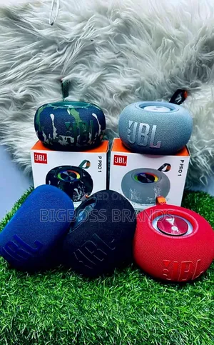 JBL P Pro 1 Bluetooth Speaker