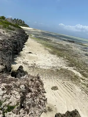 Makunduchi: 2.8 Acres Beach Plot - South Unguja, Zanzibar