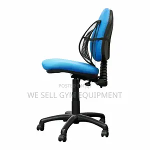 Lumbar Back Support Cushion for Office Chair and Car Seat