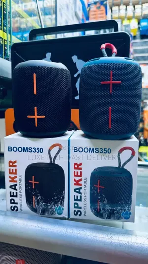 Booms 350 Outdoor Portable Speaker