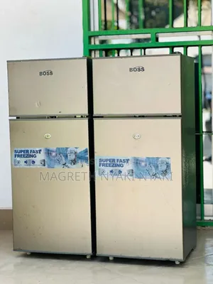 Boss Friji Liter 70