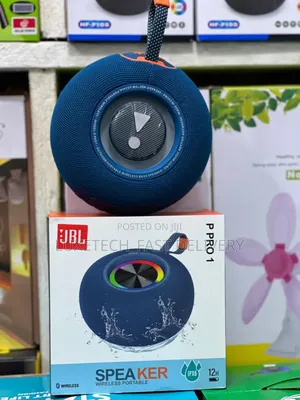 P Pro 1 Portable Music Speaker
