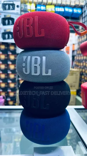 JBL P Pro 1 Portable Wireless Outdoor Music Speaker