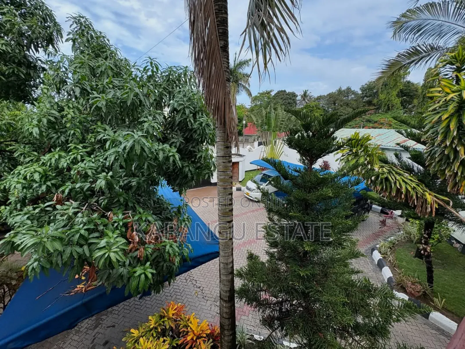 3bdrm Apartment in Mikocheni for rent