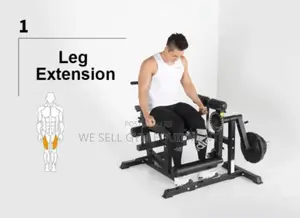Leg Extension