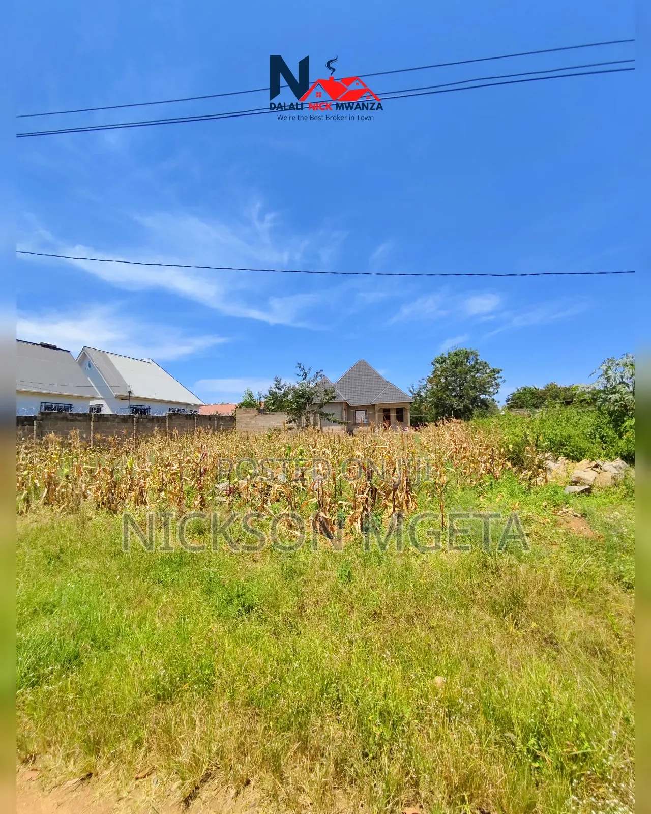 Plot for Sale