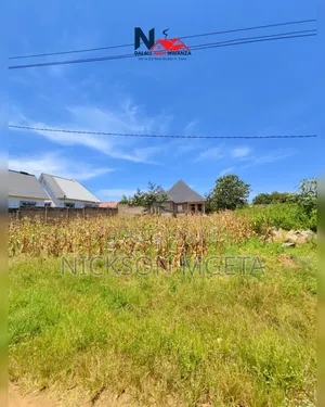Plot for Sale