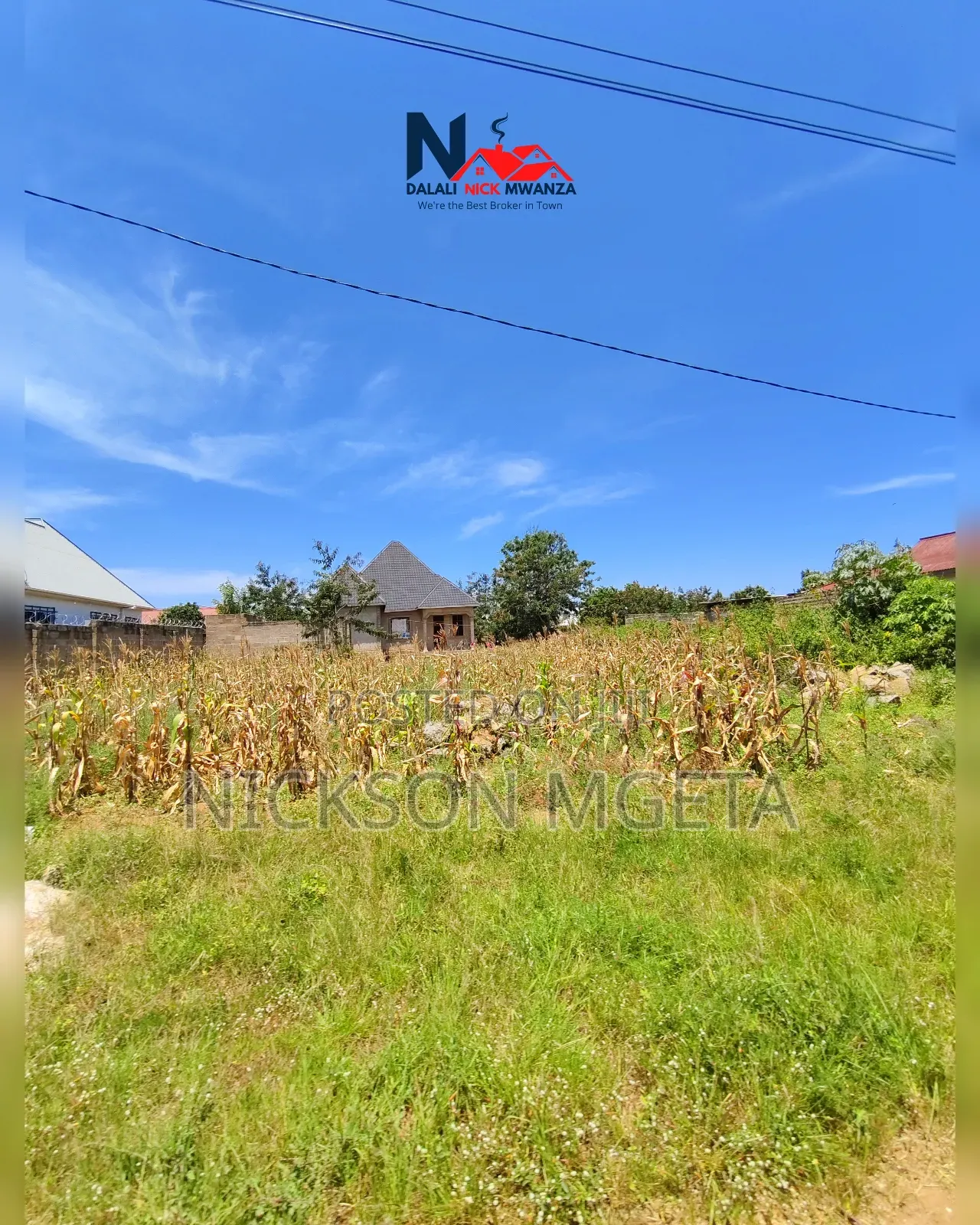 Plot for Sale
