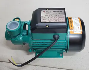 Surface Pump 0.5hp