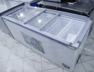 Snowsea Showcase Freezer 600L