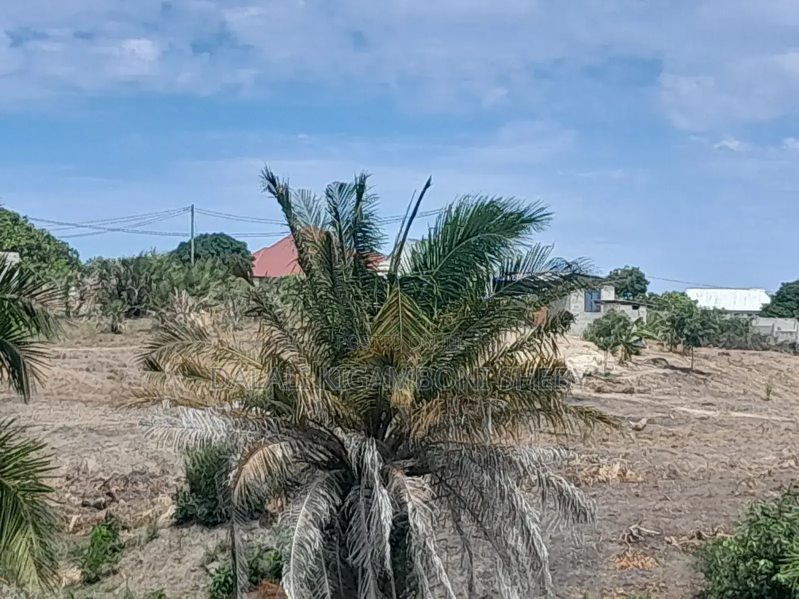 Viwanja Vinauzwa Kigamboni Cheka