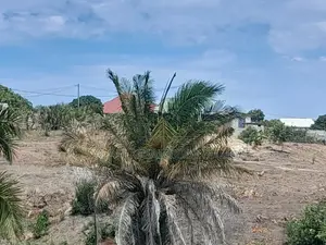 Viwanja Vinauzwa Kigamboni Cheka