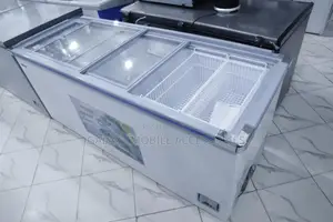 Snow Sea Showcase Freezer
