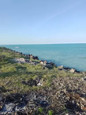 Cliff Beach Plot for Sale Makunduchi