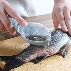 Practical Fish Scale Scraper With Cover