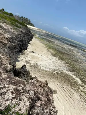 Beach Plot for Sale at Zanzibar
