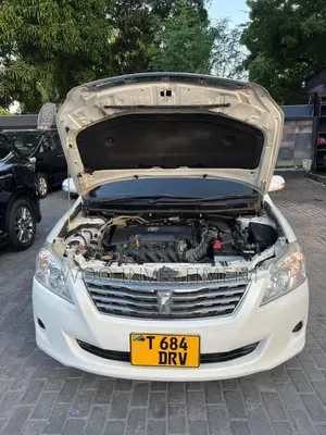 Toyota Premio 2009 White