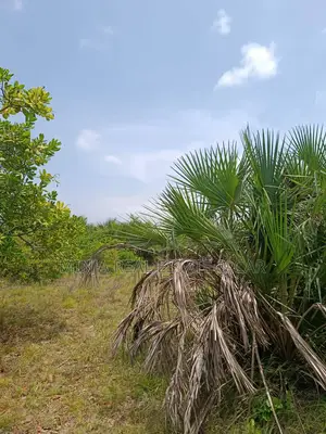 Industrial Plot for Sale Kigamboni Mivumoni.