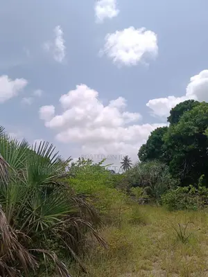 Industrial Plot for Sale Kigamboni Mivumoni.