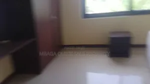 Furnished 3bdrm Apartment in Masaki for rent