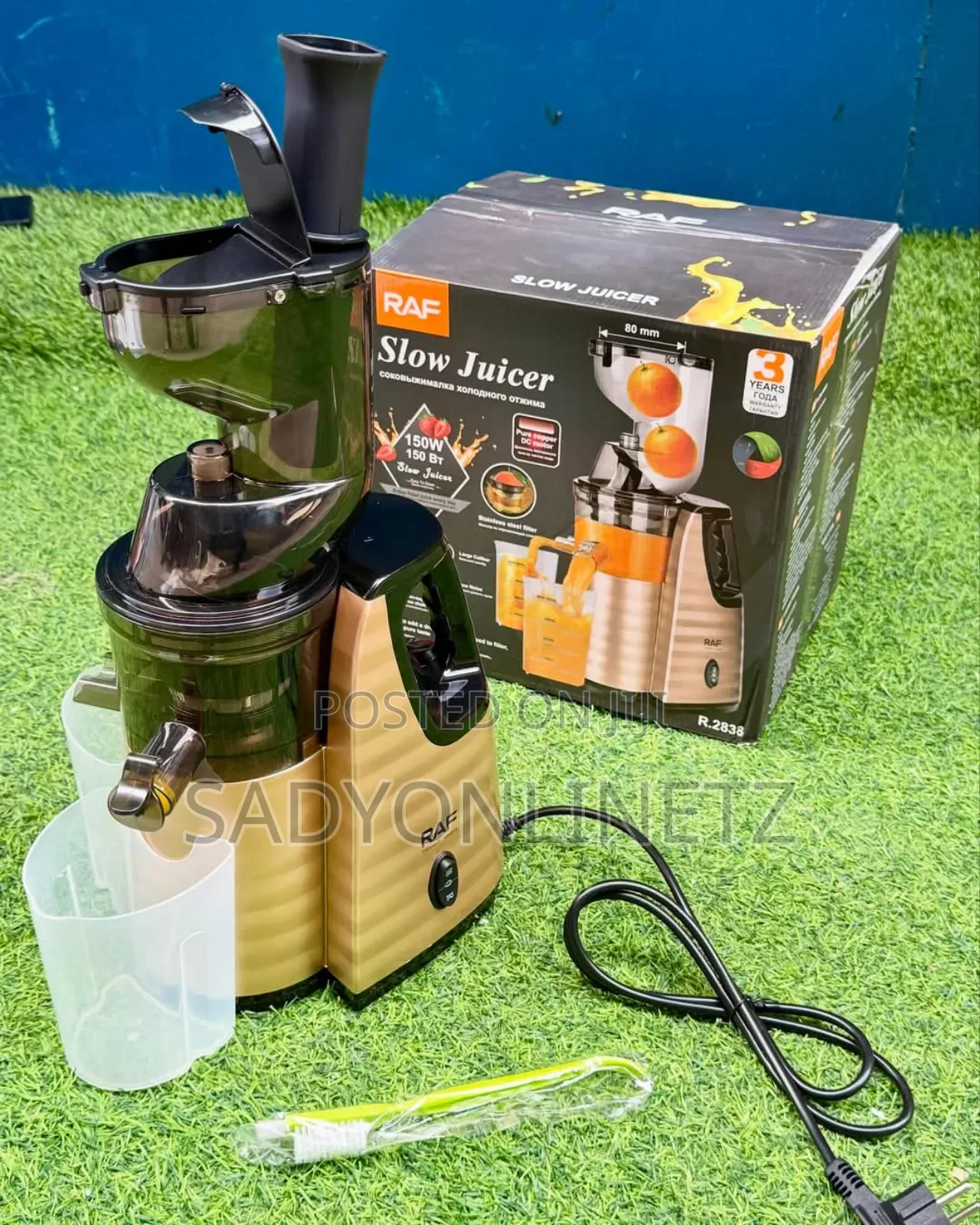 Electric Slow Juicer