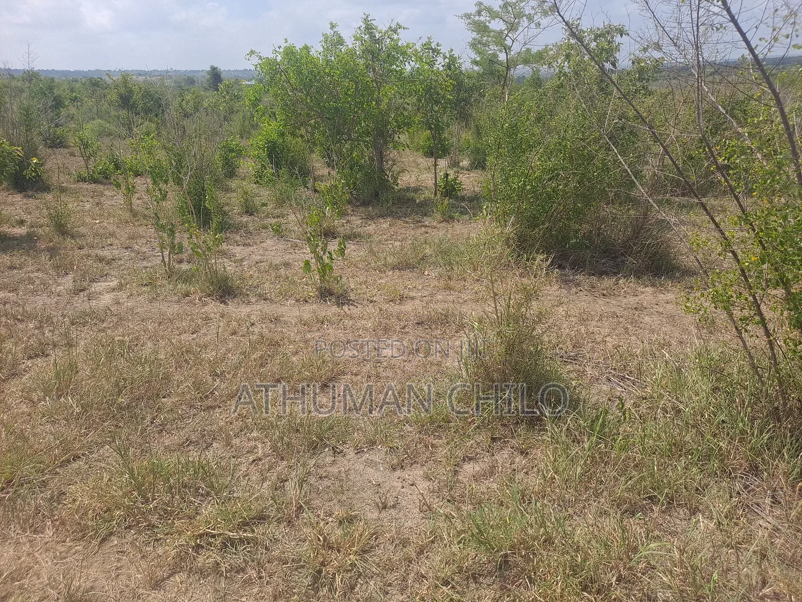 Shamba Linauzwa Kiwangwa Heka 10