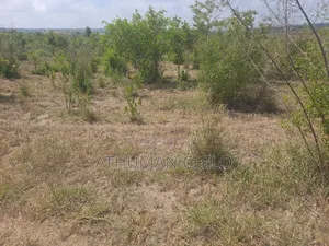 Shamba Linauzwa Kiwangwa Heka 10