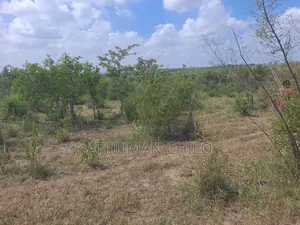 Shamba Linauzwa Kiwangwa Heka 10