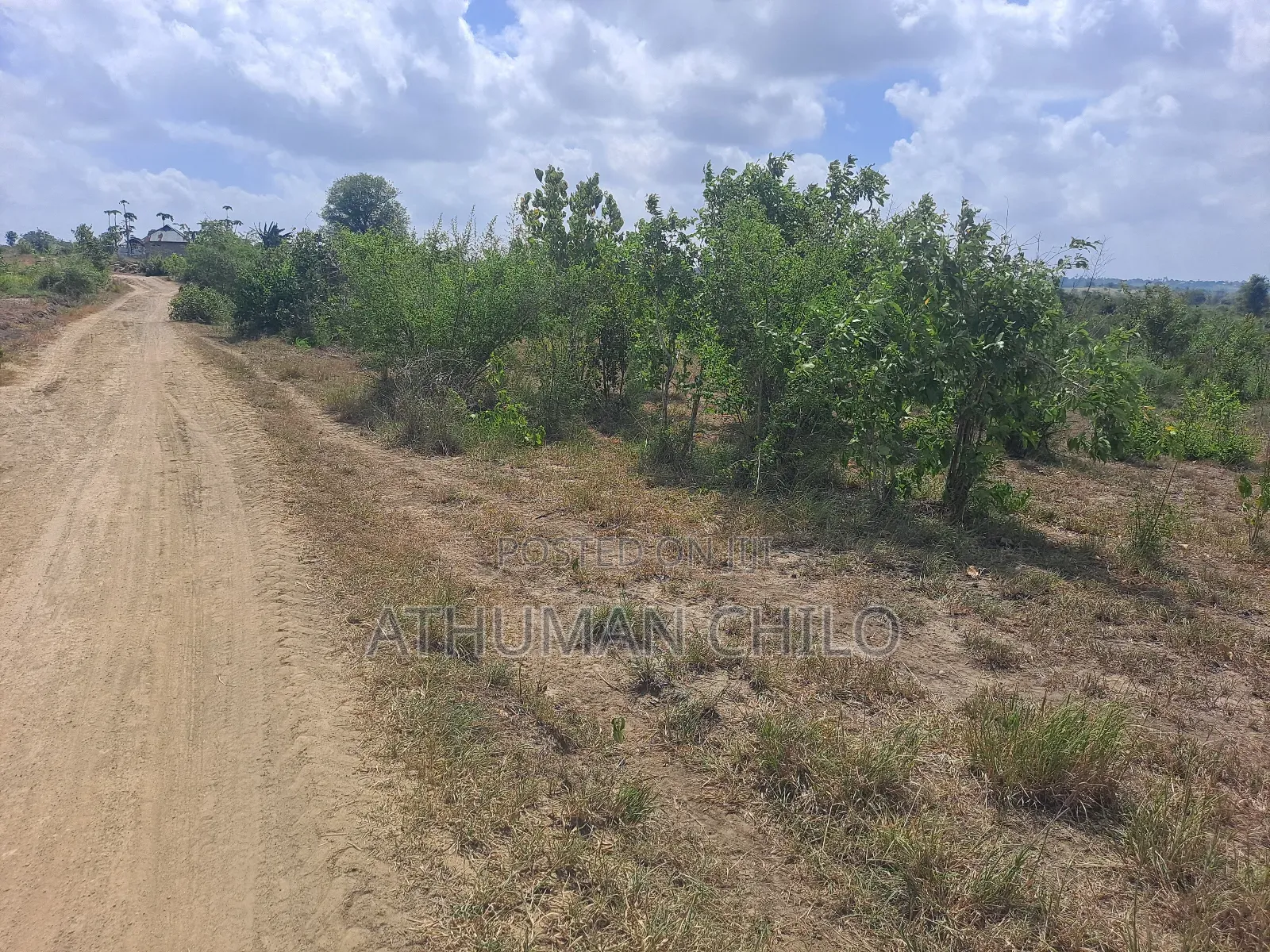 Shamba Linauzwa Kiwangwa Heka 10