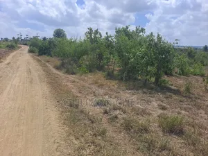 Shamba Linauzwa Kiwangwa Heka 10