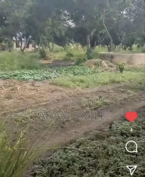 Shamba Linauzwa Mapinga