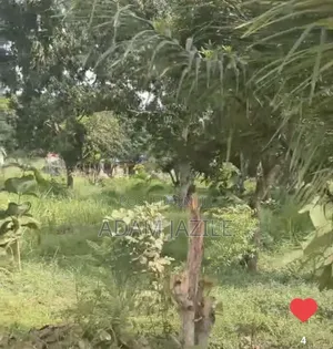 Shamba Linauzwa Mapinga