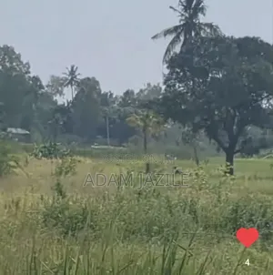 Shamba Linauzwa Mapinga