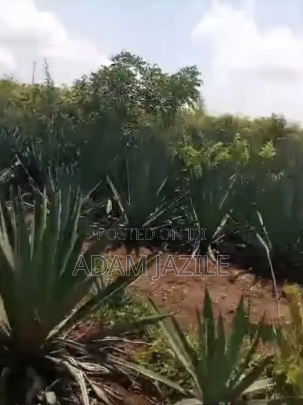 Shamba Linauzwa Msata Chalinze Bagamoyo