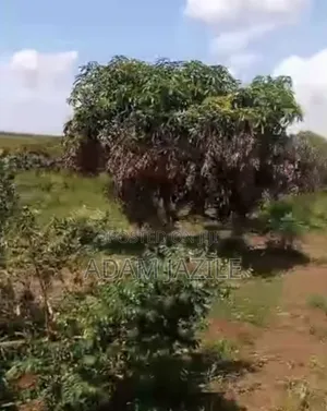 Shamba Linauzwa Msata Chalinze Bagamoyo