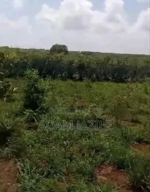 Shamba Linauzwa Msata Chalinze Bagamoyo