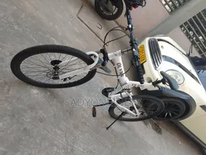 Folding Bike