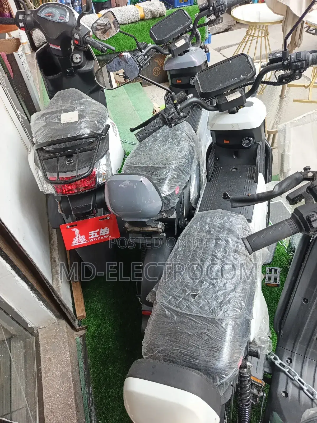 New Motorcycle 2023