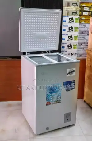 Roch Min Freezer 100L