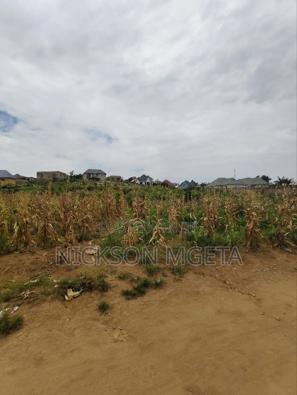 Plot for Sale