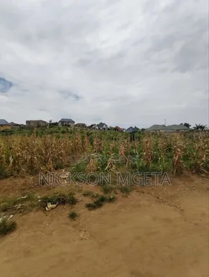 Plot for Sale