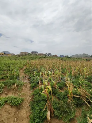 Plot for Sale