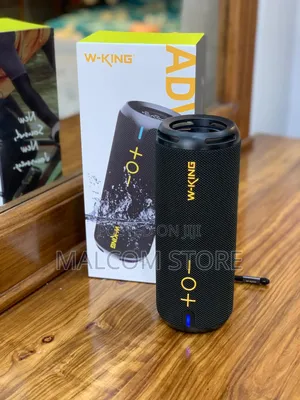 W-King D320 Speaker