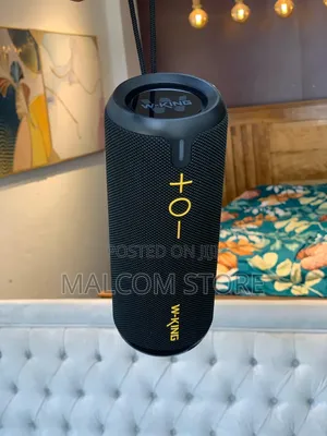 W-King D320 Speaker